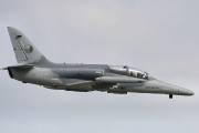 166IMG_9333
