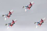 236IMG_9650
