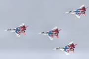 244IMG_9695