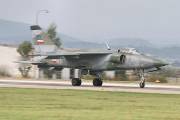 261IMG_9842