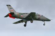 285IMG_0082