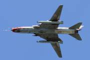 146IMG_8776