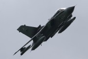 600IMG_5643