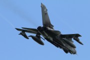 600IMG_5653