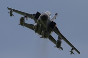 600IMG_6222