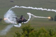 700IMG_5709