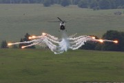700IMG_5860