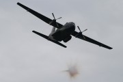 800IMG_5893
