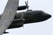 800IMG_5901