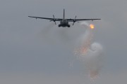 800IMG_5935