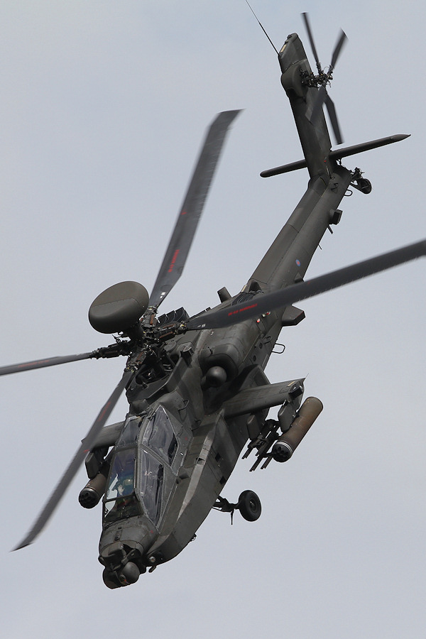 500IMG_5660