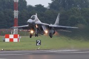 161IMG_6606