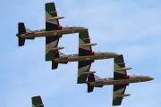 242IMG_3419