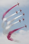 361IMG_0773