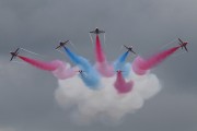 362IMG_3788