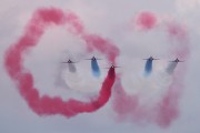 362IMG_6532