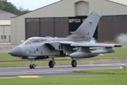 440IMG_4479