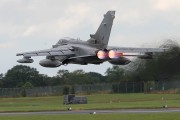 440IMG_4490