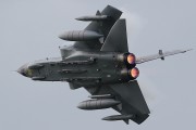 442IMG_7035