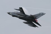 442IMG_7054