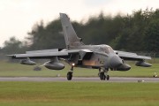 443IMG_4746