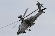 500IMG_5662