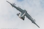 461IMG_7052