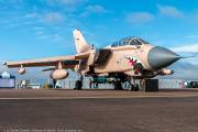 647IMG_6263