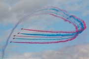 482IMG_8268