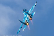560JH3A4699