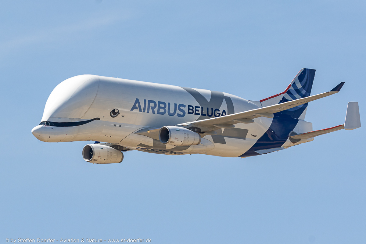 800JH3A8567