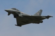 111IMG_1074