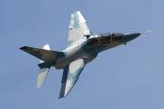 080IMG_5091