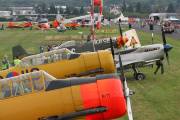 stIMG_7125