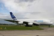 380-7IMG_9974