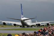 380-8IMG_9885
