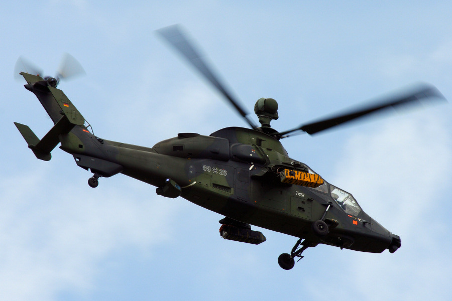 tiger-1-IMG_1063