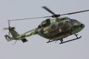 32-02IMG_0848