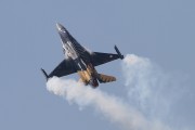 302IMG_2946