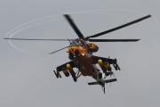 060IMG_5861