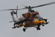 060IMG_5881