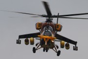 060IMG_5894