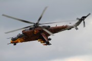 060IMG_8051