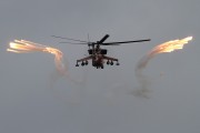 061IMG_8024