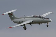 101IMG_7671