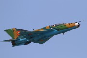 241IMG_6179