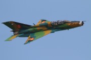 241IMG_6194