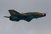 241IMG_7880