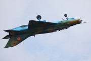 241IMG_8146