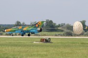 242IMG_6204